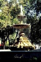 Cordoba - Fountain in Peaceful City Park